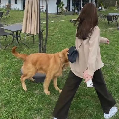盗墓笔记第一季