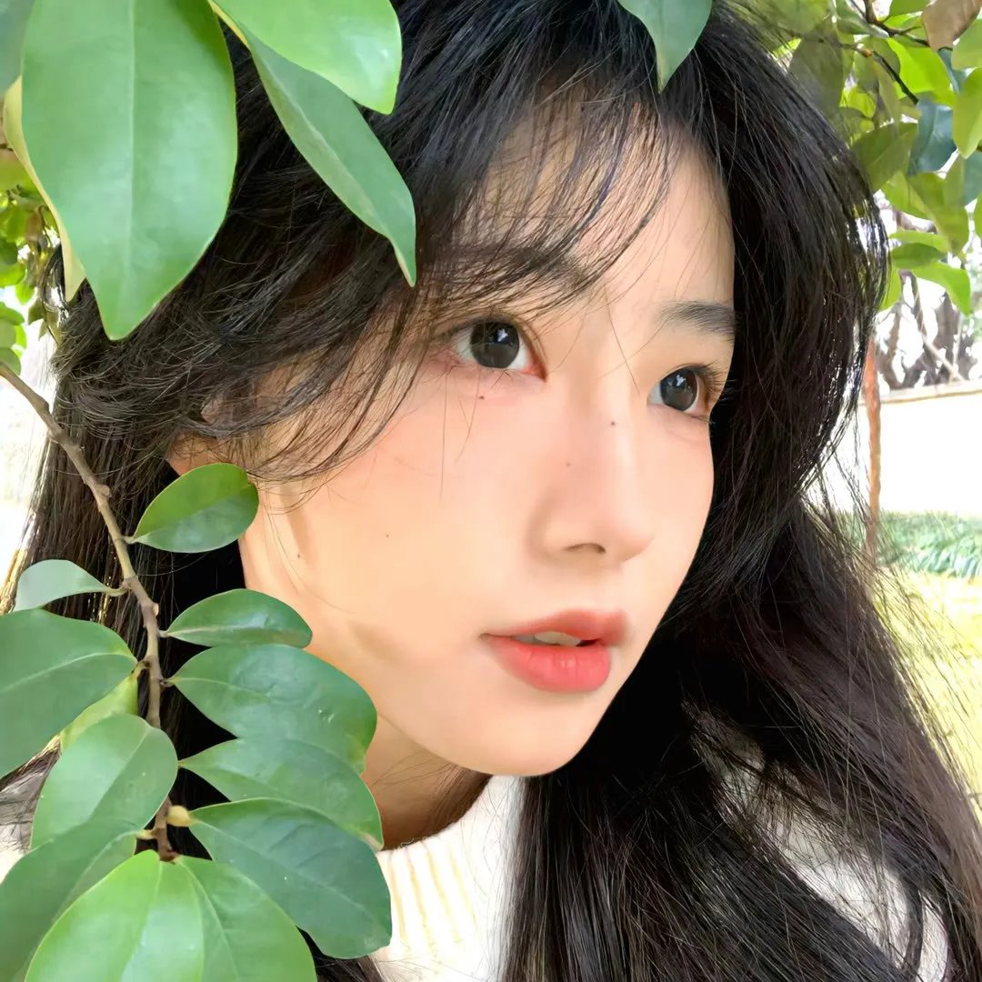 小巷管家