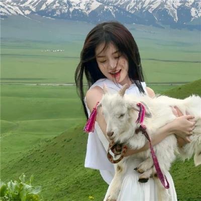 白猫Project ZERO CHRONICLE