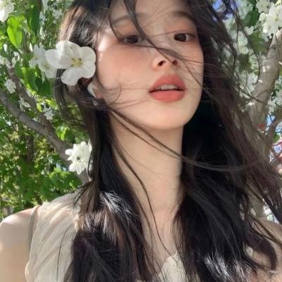 五星红旗迎风飘扬2